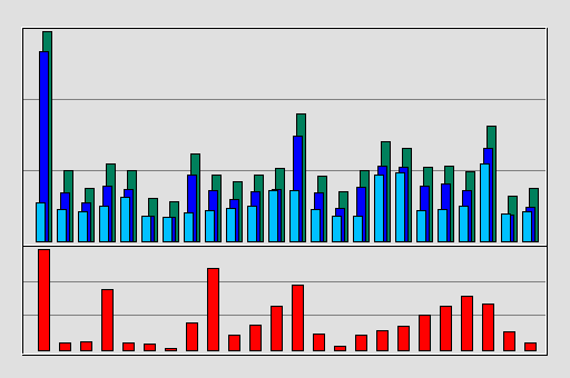 Raport Godzinowy -  styczeń 2020