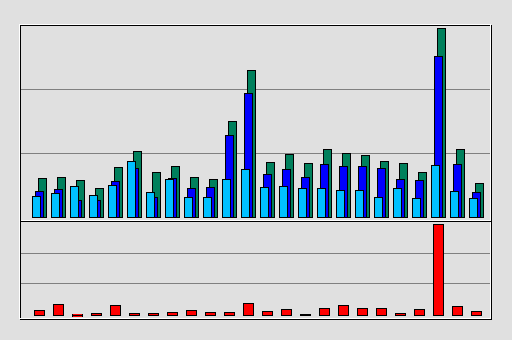 Raport Godzinowy -  styczeń 2021